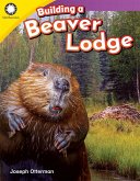 Building a Beaver Lodge (eBook, ePUB)