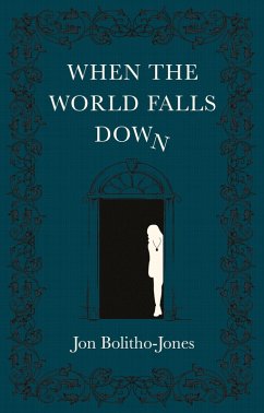 Cover When the World Falls Down (eBook, ePUB)
