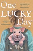 One Lucky Day (eBook, ePUB)