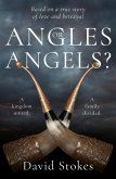 Angles or Angels? (eBook, ePUB)