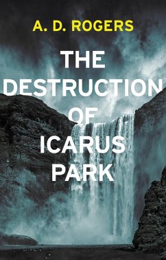 Cover Destruction Of Icarus Park (eBook, ePUB)