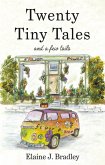 Twenty Tiny Tales (eBook, ePUB)