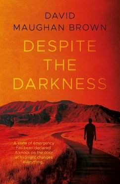 Despite the Darkness (eBook, ePUB) - Brown, David Maughan