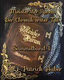 Meister der Runen - der Chronik erster Teil (eBook, ePUB)