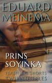 Prins Soyinka (eBook, ePUB)