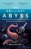 The Brilliant Abyss (eBook, ePUB)