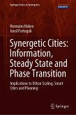 Synergetic Cities: Information, Steady State and Phase Transition (eBook, PDF)