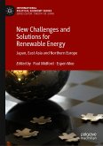 New Challenges and Solutions for Renewable Energy (eBook, PDF)