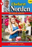 Doppelter Verrat! (eBook, ePUB)