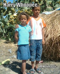 Cover Harry Whoopee (eBook, ePUB)