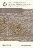 Preparación de los trabajos y replanteo de elementos singulares de piedra natural. IEXD0409 (eBook, ePUB)