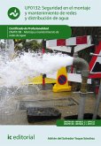 Seguridad en el montaje y mantenimiento de redes y distribución de agua y saneamiento. ENAT0108 (eBook, ePUB)