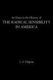 An Essay in the History of the Radical Sensibility in America (eBook, ePUB)