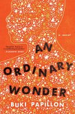 An Ordinary Wonder (eBook, ePUB)