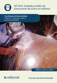 Soldadura MAG de estructuras de acero al carbono. FMEC0210 (eBook, ePUB) - Entrena González, Francisco José