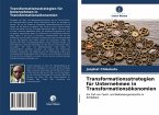 Transformationsstrategien für Unternehmen in Transformationsökonomien
