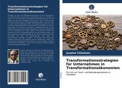 Transformationsstrategien für Unternehmen in Transformationsökonomien - Chikukutu, Josphat