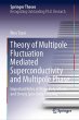 Theory of Multipole Fluctuation... - Bild 1