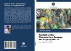 Agilität in Der Ghanaischen Ananas-Versorgungskette