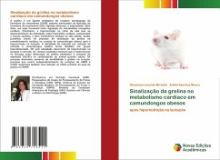 Sinalização da grelina no metabolismo cardíaco em camundongos obesos - Lacerda Miranda, Glauciane;Sanchez Moura, Anibal