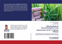 Morphological Characterization and Assessment of D2 in Bread Wheat