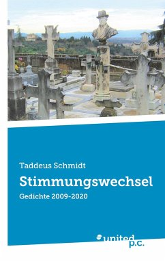Stimmungswechsel - Schmidt, Taddeus