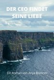 Der CEO findet seine Liebe (eBook, ePUB)