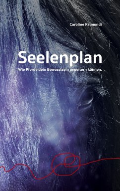 Seelenplan (eBook, ePUB) - Raimondi, Caroline