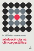 Adolescência na clínica gestáltica (eBook, ePUB)