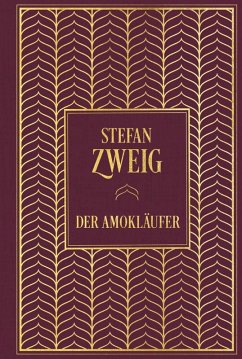 Der Amokläufer (eBook, ePUB) - Zweig, Stefan