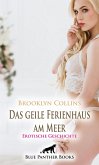 Das geile Ferienhaus am Meer   Erotische Geschichte (eBook, PDF)