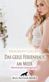 Das geile Ferienhaus am Meer   Erotische Geschichte (eBook, PDF)