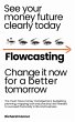 Flowcasting   See Your Money Future... - Bild 1