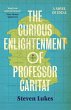The Curious Enlightenment of Professor... - Bild 1