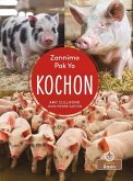 Kochon (Pigs)
