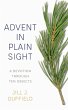 Advent in Plain Sight - Bild 1