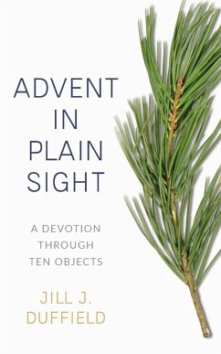 Advent in Plain Sight - Duffield, Jill
