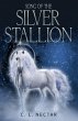 Song of the Silver Stallion - Bild 1