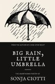 Big Rain, Little Umbrella: The Unorthodox Poetry of Sonja Ciotti