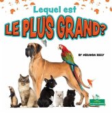 Lequel Est Le Plus Grand? (Which Is Biggest?)