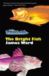 The Bright Fish - Bild 1