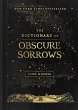The Dictionary of Obscure Sorrows - Bild 1