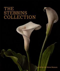 The Stebbins Collection - Palm, Regina