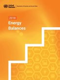 2018 Energy Balances