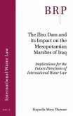 The Ilisu Dam and Its Impact on the Mesopotamian Marshes of Iraq: Implications for the Future Directions of International Water Law