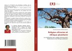 Religion africaine et éthique planétaire