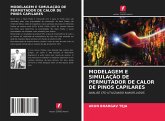 MODELAGEM E SIMULAÇÃO DE PERMUTADOR DE CALOR DE PINOS CAPILARES