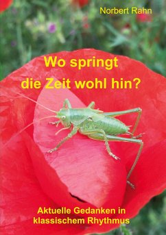 Wo springt die Zeit wohl hin? - Rahn, Norbert