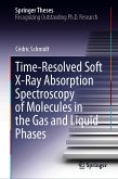 Time-Resolved Soft X-Ray Absorption Spectroscopy of Molecules in the Gas and Liquid Phases (eBook, PDF)