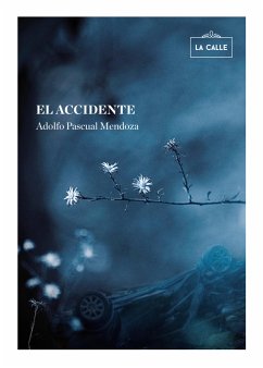 El accidente (eBook, ePUB) - Pascual Mendoza, Adolfo